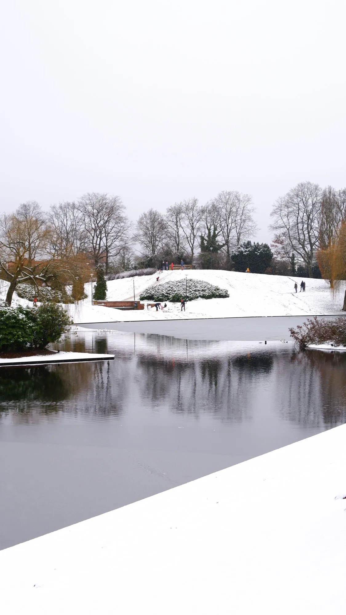 Pond in the snow